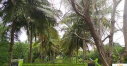 Farm Land in Uthiramerur