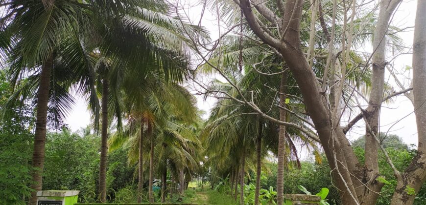 Farm Land in Uthiramerur