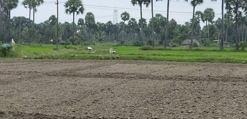 Land in Uthiramerur