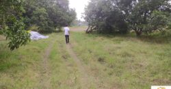 Land in Uthiramerur