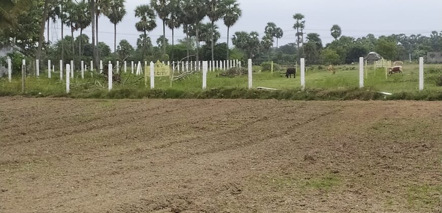 Land in Uthiramerur (Sindhu Thottam)