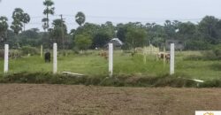 Land in Uthiramerur (Sindhu Thottam)