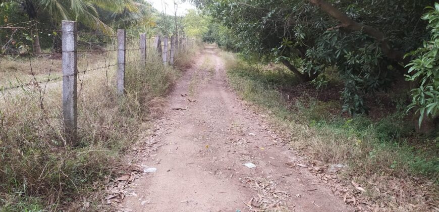 Land in Uthiramerur (Sindhu Thottam)