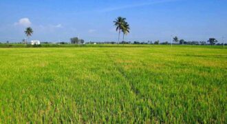 Land in Ekkatuthangal