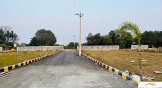 Land in Thalambur