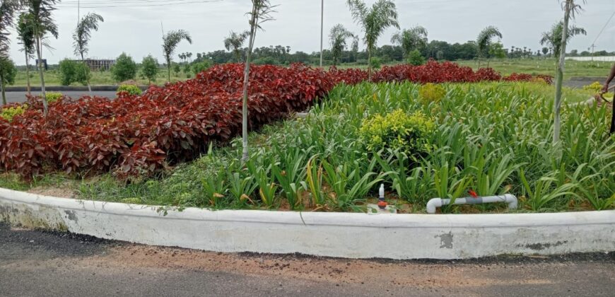 Plot in Oragadam