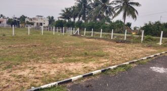 Plots in Guduvancheri