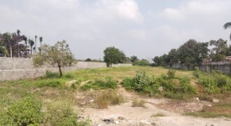 Plot in Padappai