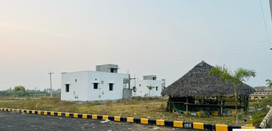 Plots in Pattabiram