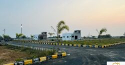 Plots in Pattabiram