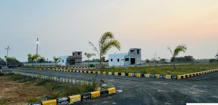 Plots in Pattabiram