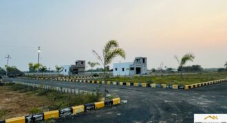 Plots in Pattabiram