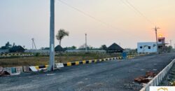 Plots in Pattabiram