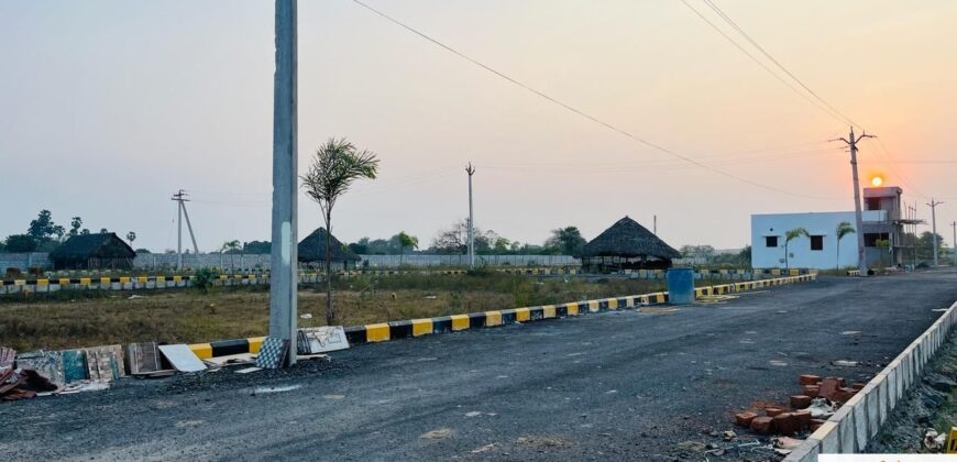 Plots in Pattabiram