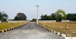 Plots in Pattabiram