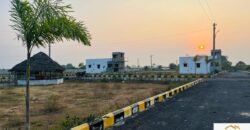 Plots in Pattabiram