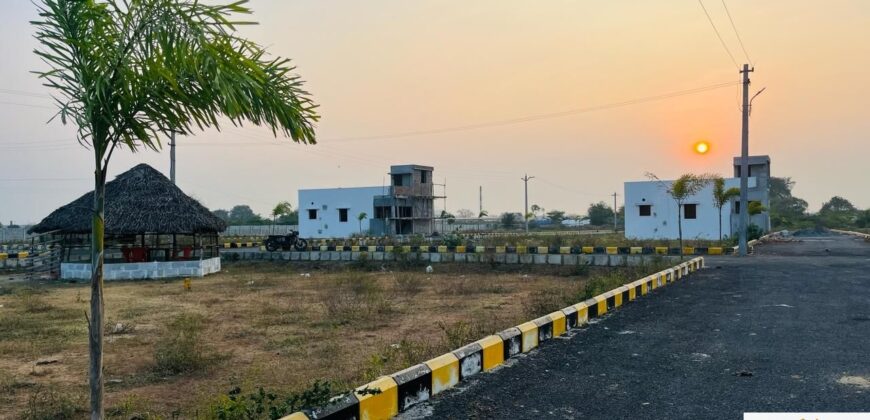 Plots in Pattabiram