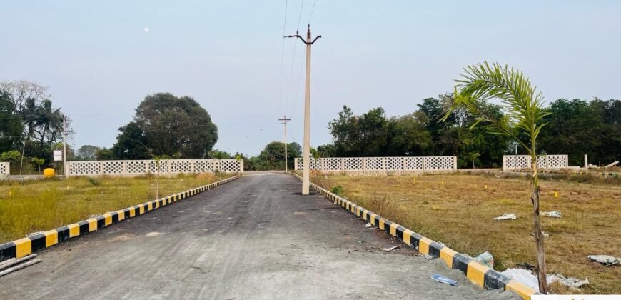 Plots in Pattabiram