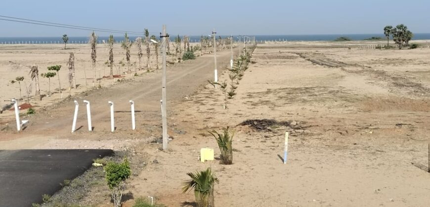 Plot in ECR